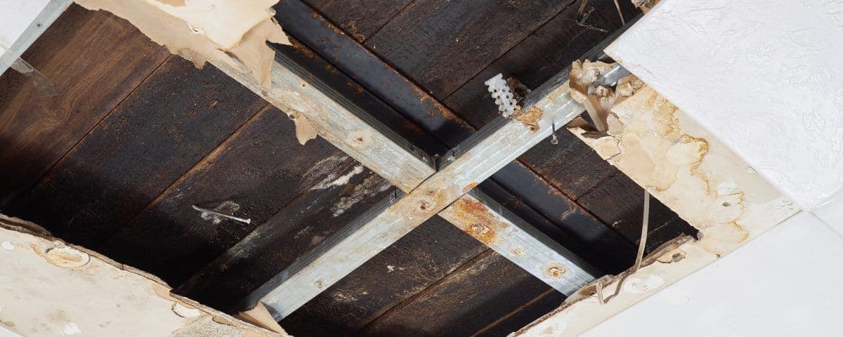 Why Your Roof Is Leaking and What You Can Do About It image