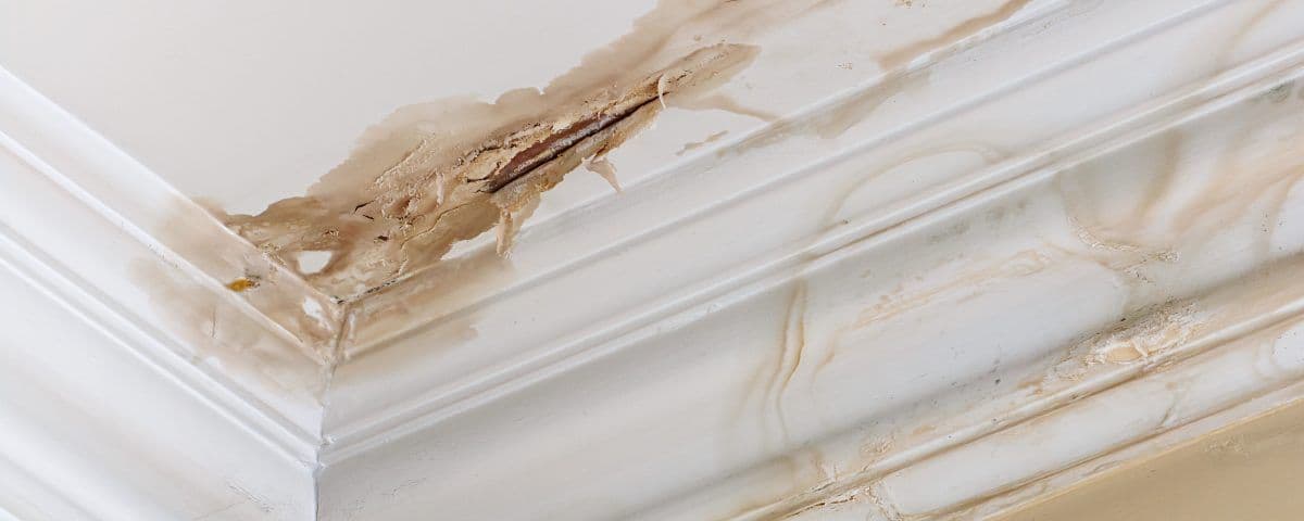 Commercial Roofing: Why Is Your Roof Leaking? image