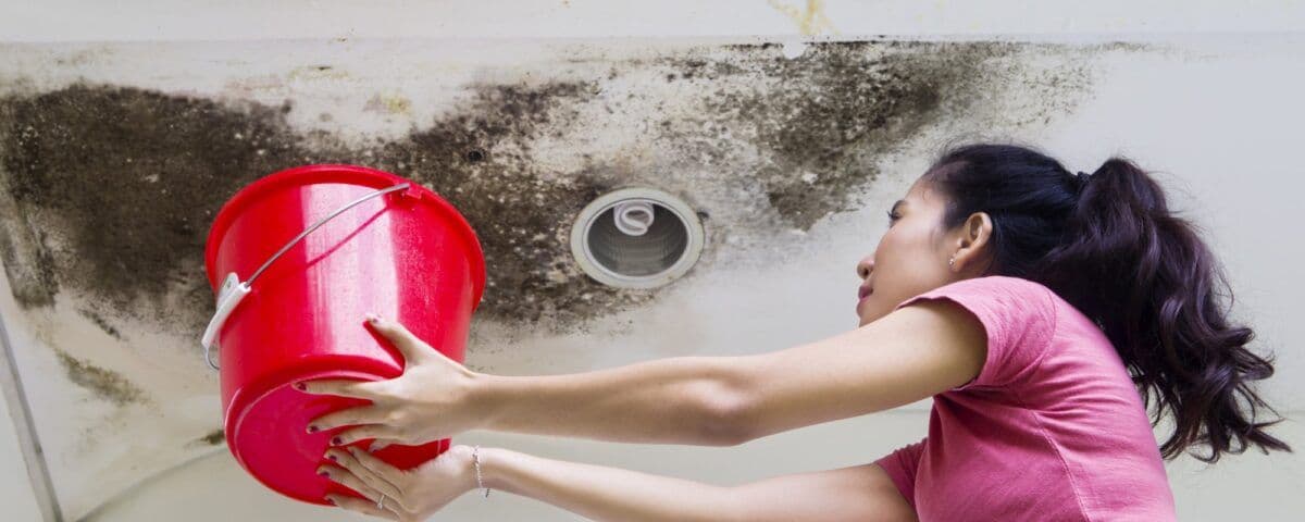 The Hidden Dangers of Ignoring Leak Repairs image