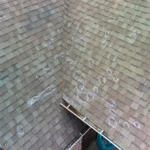 professional roof inspection